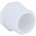 Charlotte Pipe And Foundry Threaded Schedule 40 DWV 1 in. MIP PVC Plug PVC 02113  1000HA